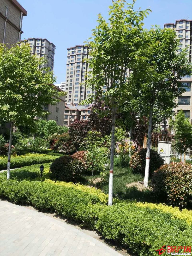善南小區多層高，簡裝，有證，含儲有暖